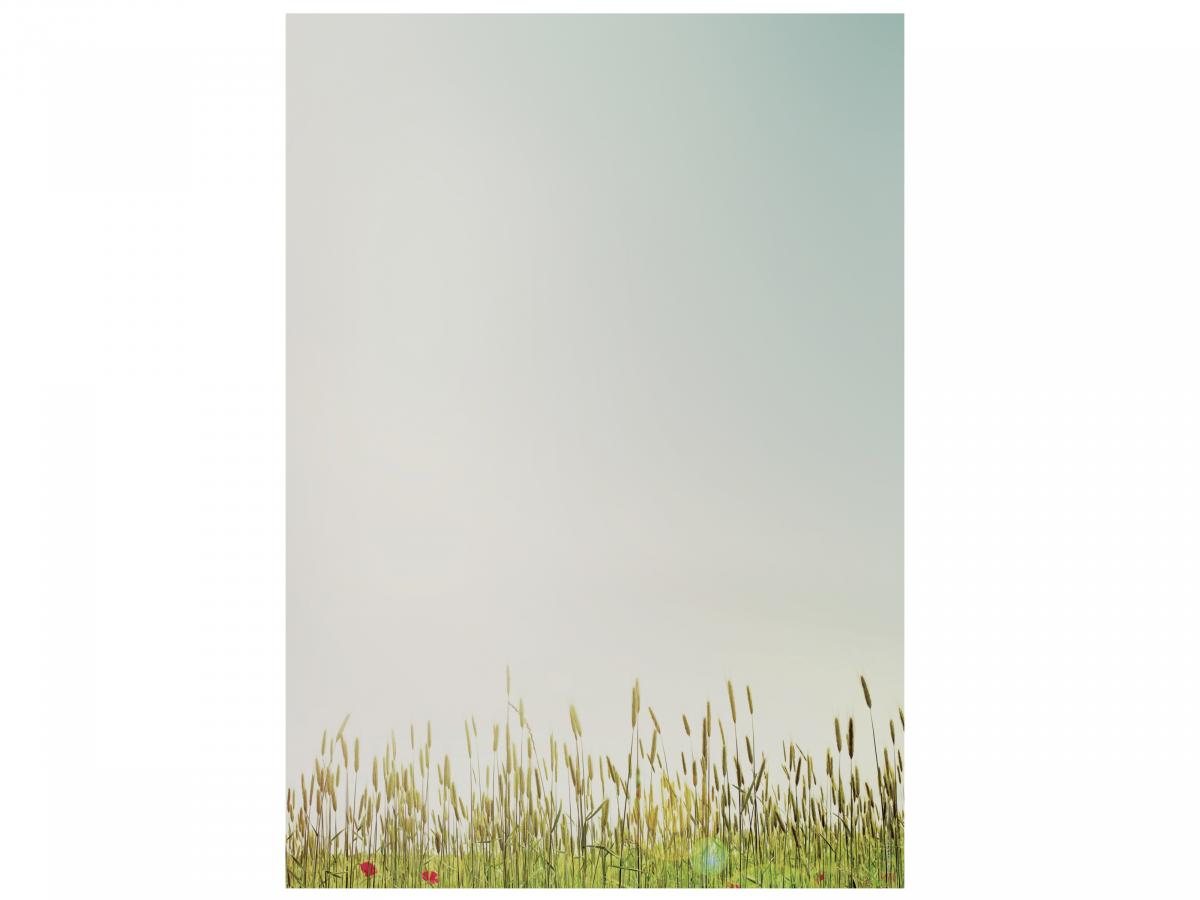 Spring Flowers Stationery  Writing paper